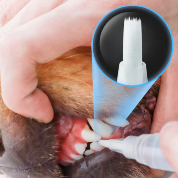 Caneta de cuidado dental